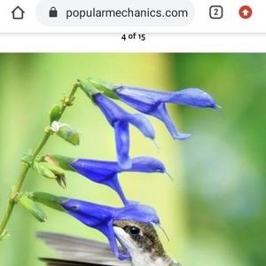 Meet your Posher, Jacobo